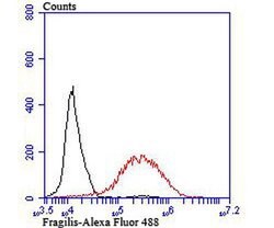 Invitrogen IFITM3 Recombinant Rabbit Monoclonal Antibody (JU73-02) 100
