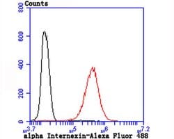 Invitrogen alpha Internexin Recombinant Rabbit Monoclonal Antibody (JU25-03)