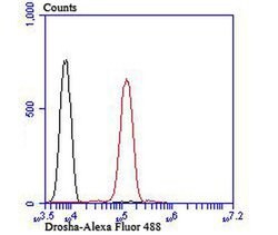 Invitrogen Drosha Recombinant Rabbit Monoclonal Antibody (JU33-01) 100