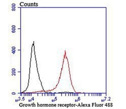 Invitrogen Growth Hormone Receptor Recombinant Rabbit Monoclonal Antibody