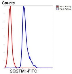 Invitrogen SQSTM1 Monoclonal Antibody (10-E10) 100 μL; Unconjugated:Antibodies,