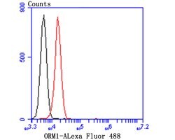 Invitrogen ORM1 Monoclonal Antibody (A4-G2-A3) 100 &mu;L; Unconjugated:Antibodies,