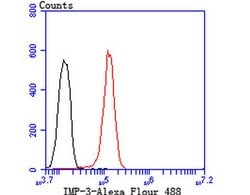 Invitrogen IGF2BP3 Monoclonal Antibody (C2-E4) 100 &mu;L; Unconjugated:Antibodies,