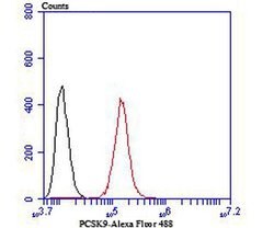 Invitrogen PCSK9 Monoclonal Antibody (2F1) 100 &mu;L; Unconjugated:Antibodies,