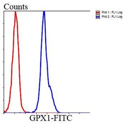 Invitrogen GPX1 Monoclonal Antibody (C5-F6) 100 μL; Unconjugated:Antibodies,