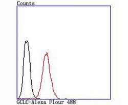 Invitrogen GCLC Recombinant Rabbit Monoclonal Antibody (JA08-03) 100 &mu;L;