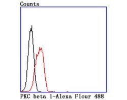 Invitrogen PKC beta-1 Recombinant Rabbit Monoclonal Antibody (JM43-26) 100 &mu;L | Buy Online | Invitrogen&trade; | Fisher Scientific