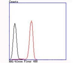 Invitrogen MAL Monoclonal Antibody (B5-G3) 100 &mu;L; Unconjugated:Antibodies,