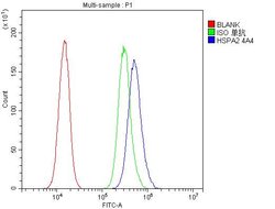 Invitrogen HSPA2 Monoclonal Antibody (4A4) 100 &mu;g; Unconjugated:Antibodies,