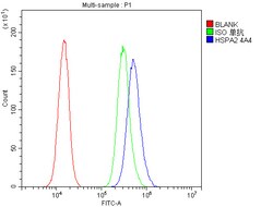 Invitrogen HSPA2 Monoclonal Antibody (4A4) 100 &mu;g; Unconjugated:Antibodies,