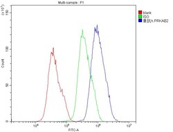 Invitrogen AMPK beta-2 Monoclonal Antibody (6G1) 100 &mu;g; Unconjugated:Antibodies,