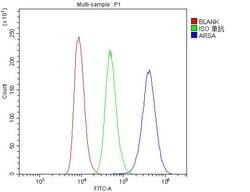 Invitrogen Arylsulfatase A Monoclonal Antibody (4C10) 100 &mu;g; Unconjugated:Antibodies,