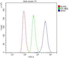 Invitrogen Arylsulfatase A Monoclonal Antibody (4C10) 100 &mu;g; Unconjugated:Antibodies,