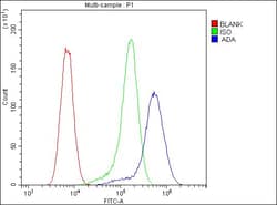 Invitrogen Adenosine Deaminase Monoclonal Antibody (6D4) 100 &mu;g; Unconjugated:Antibodies,