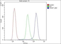 Invitrogen CD2AP Monoclonal Antibody (5F8) 100 &mu;g; Unconjugated:Antibodies,