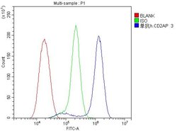Invitrogen CD2AP Monoclonal Antibody (5F8) 100 &mu;g; Unconjugated:Antibodies,