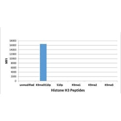Invitrogen H3K9me3S10ph Recombinant Rabbit Monoclonal Antibody (RM162)