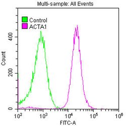 Invitrogen Actin Recombinant Rabbit Monoclonal Antibody (25E3) 100 &mu;L;