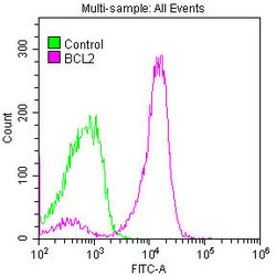 Invitrogen Bcl-2 Recombinant Rabbit Monoclonal Antibody (2C6) 100 &mu;L | Buy Online | Invitrogen&trade; | Fisher Scientific