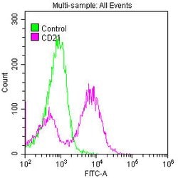 Invitrogen CD21 Recombinant Rabbit Monoclonal Antibody (16F10) 100 &mu;L;