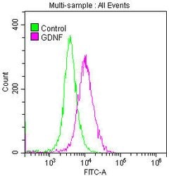 Invitrogen GDNF Recombinant Rabbit Monoclonal Antibody (11D2) 100 &mu;L;