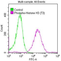 Invitrogen Phospho-Histone H3.3 (Thr3) Recombinant Rabbit Monoclonal Antibody