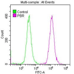 Invitrogen TSPO Recombinant Rabbit Monoclonal Antibody (23G2) 100 &mu;L | Buy Online | Invitrogen&trade; | Fisher Scientific