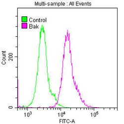 Invitrogen BAK Recombinant Rabbit Monoclonal Antibody (8D1) 100 &mu;L;