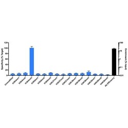 Invitrogen H3K4me3 Recombinant Rabbit Monoclonal Antibody (RM340), ChIP-Verified