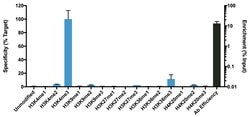 Invitrogen H3K4me3 Recombinant Rabbit Monoclonal Antibody (RM340), ChIP-Verified