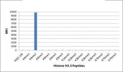 Invitrogen H3K4me2 Recombinant Rabbit Monoclonal Antibody (RM135), ChIP-Verified:Antibodies:Primary