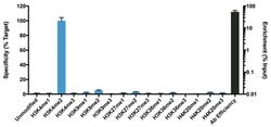 Invitrogen H3K4me2 Recombinant Rabbit Monoclonal Antibody (RM135), ChIP-Verified:Antibodies:Primary