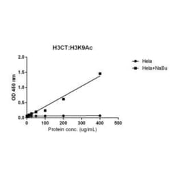 Invitrogen H3K9ac Recombinant Rabbit Monoclonal Antibody (RM161), ChIP-Verified 100 &mu;g | Buy Online | Invitrogen&trade; | Fisher Scientific
