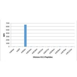 Invitrogen H3K9ac Recombinant Rabbit Monoclonal Antibody (RM161), ChIP-Verified 100 &mu;g | Buy Online | Invitrogen&trade; | Fisher Scientific