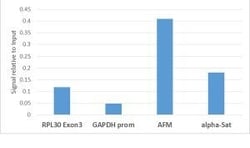 Invitrogen H3K9me1 Recombinant Rabbit Monoclonal Antibody (RM150), ChIP-Verified:Antibodies:Primary