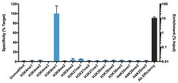 Invitrogen H3K9me1 Recombinant Rabbit Monoclonal Antibody (RM150), ChIP-Verified:Antibodies:Primary