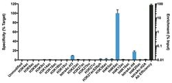 Invitrogen H4K8ac Recombinant Rabbit Monoclonal Antibody (RM201), ChIP-Verified:Antibodies:Primary