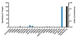 Invitrogen H4K20ac Recombinant Rabbit Monoclonal Antibody (RM205), ChIP-Verified