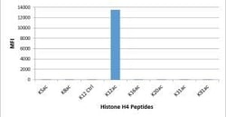 Invitrogen H4K12ac Recombinant Rabbit Monoclonal Antibody (RM202), ChIP-Verified