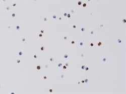 Invitrogen H3.3 K4M oncohistone mutant Recombinant Rabbit Monoclonal Antibody