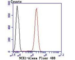 Invitrogen NCK1 Recombinant Rabbit Monoclonal Antibody (JU41-80) 100 &mu;L | Buy Online | Invitrogen&trade; | Fisher Scientific