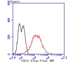 Invitrogen CAS Recombinant Rabbit Monoclonal Antibody (JU34-33) 100 &mu;L;
