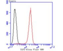 Invitrogen ILF2 Recombinant Rabbit Monoclonal Antibody (JU50-33) 100 &mu;L;