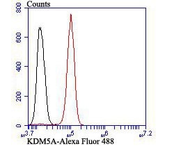 Invitrogen KDM5A Recombinant Rabbit Monoclonal Antibody (JB36-60) 100 &mu;L;