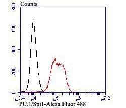 Invitrogen PU.1 Recombinant Rabbit Monoclonal Antibody (JB72-35) 100 &mu;L | Buy Online | Invitrogen&trade; | Fisher Scientific