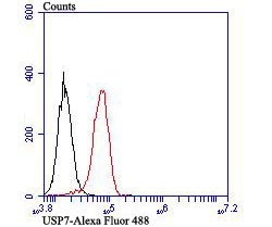 Invitrogen USP7 Recombinant Rabbit Monoclonal Antibody (JB80-36) 100 &mu;L;