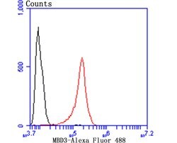 Invitrogen MBD3 Recombinant Rabbit Monoclonal Antibody (JB61-47) 100 &mu;L;