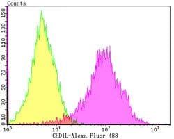 Invitrogen CHD1L Recombinant Rabbit Monoclonal Antibody (JG35-44) 100 &mu;L;