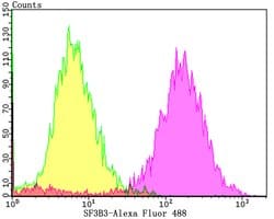 Invitrogen SF3B3 Recombinant Rabbit Monoclonal Antibody (JG63-53) 100 &mu;L;