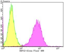 Invitrogen TYROBP Recombinant Rabbit Monoclonal Antibody (JG38-70) 100